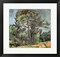 Framed Art The Large Pine, c.1889 by Paul Cezanne Wall Decor 18x24 Artwork